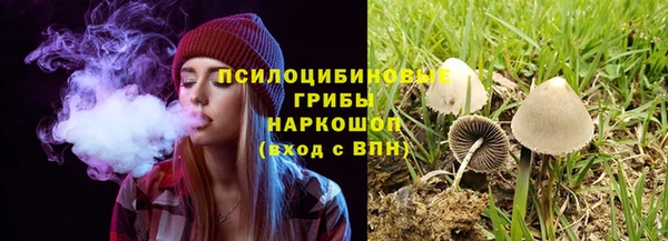 спайс Белокуриха